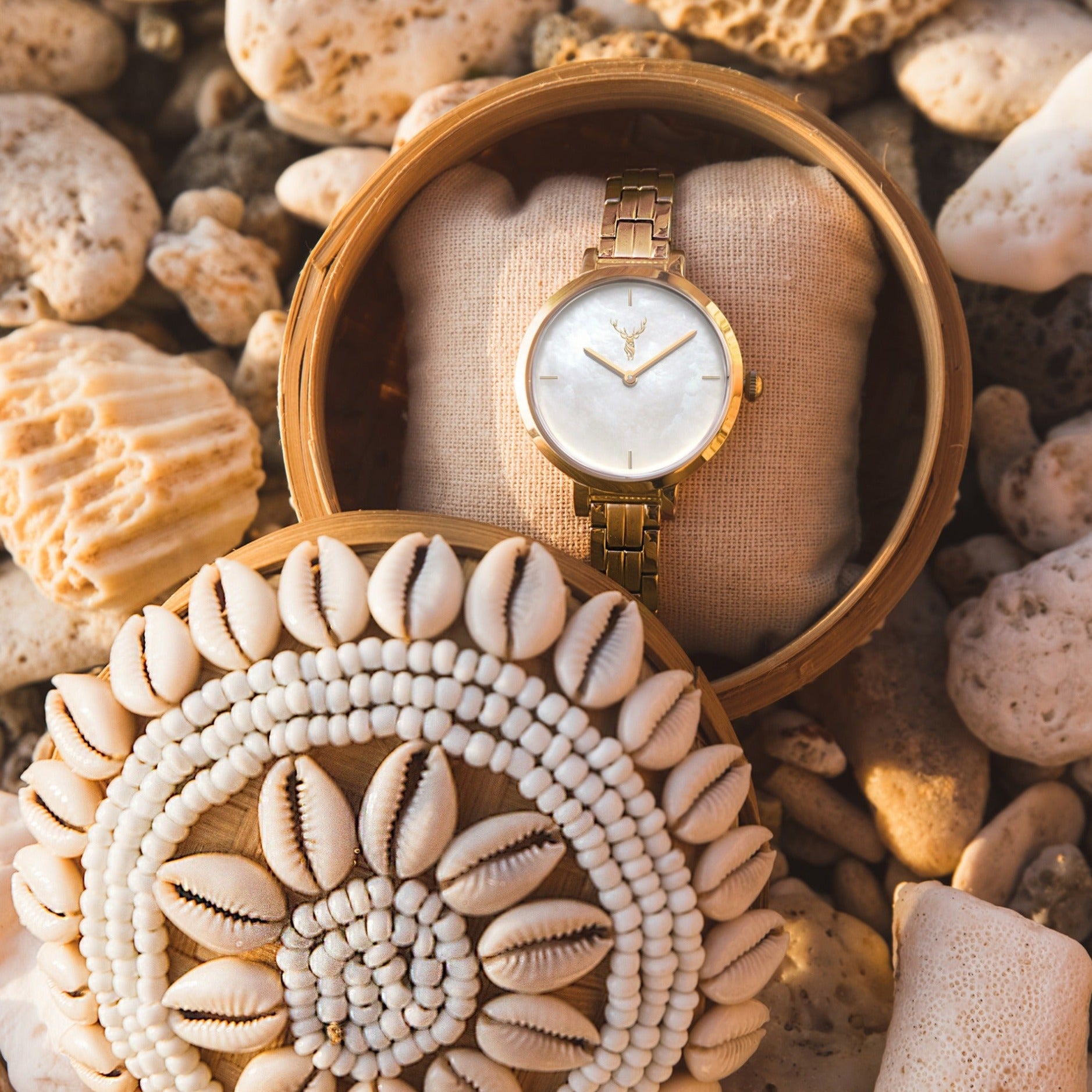 0C2A1900-bea-gold-kleiner_edited.jpg