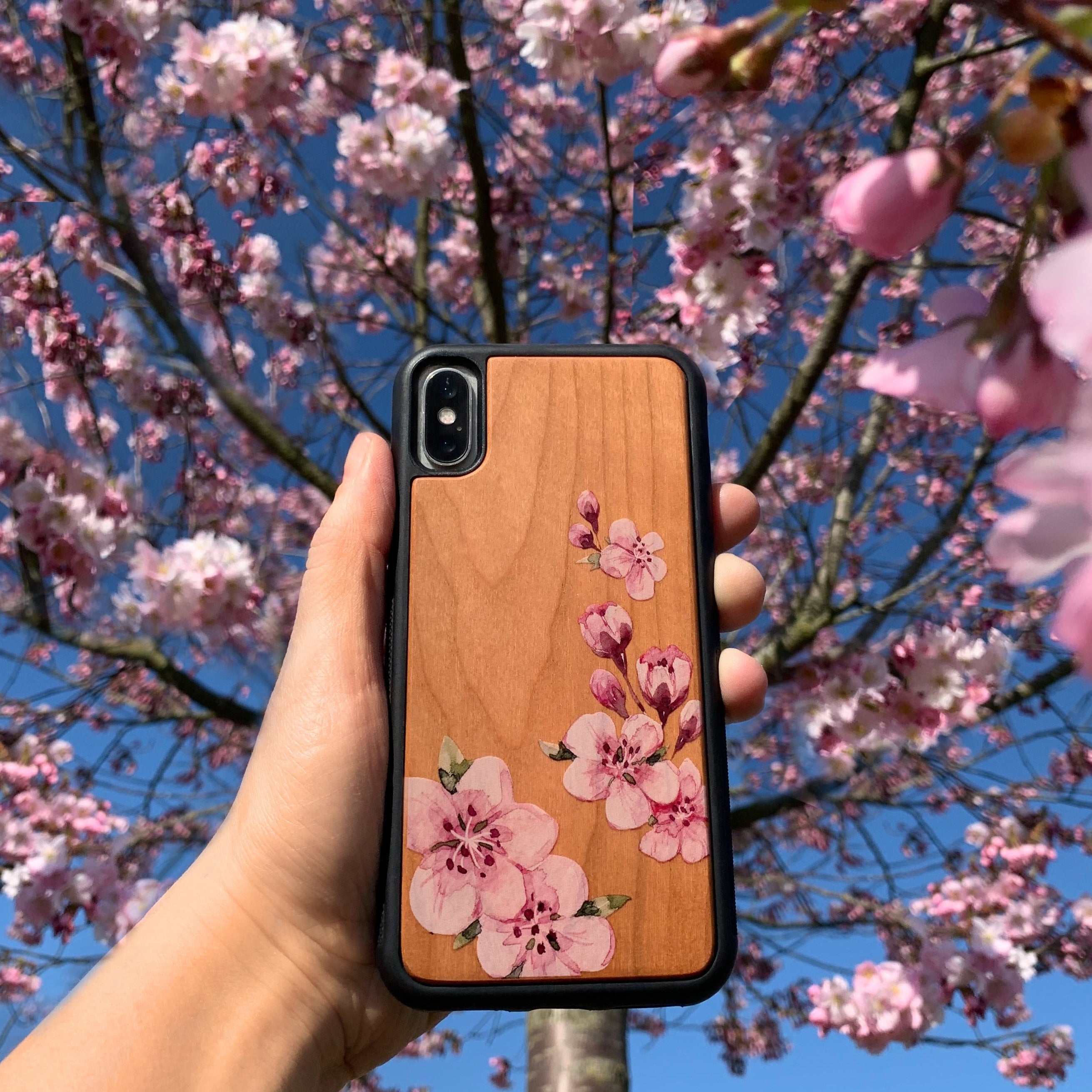 Cherry blossoms on cherry wood